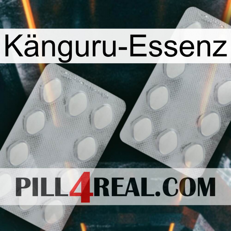Känguru-Essenz 17